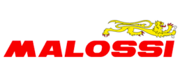Malossi