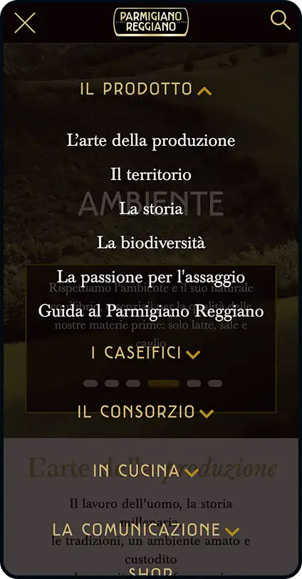 Sito istituzionale Parmigiano Reggiano - Spotview